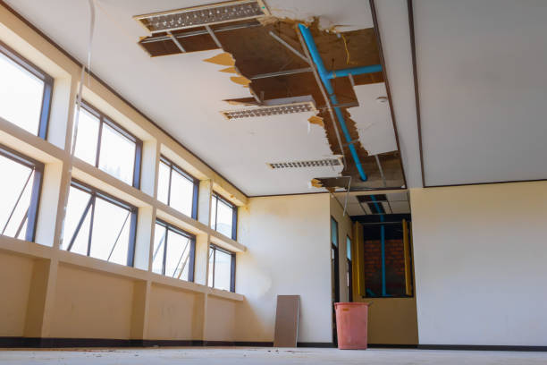 Best Carpet water damage restoration  in Henderson, NV