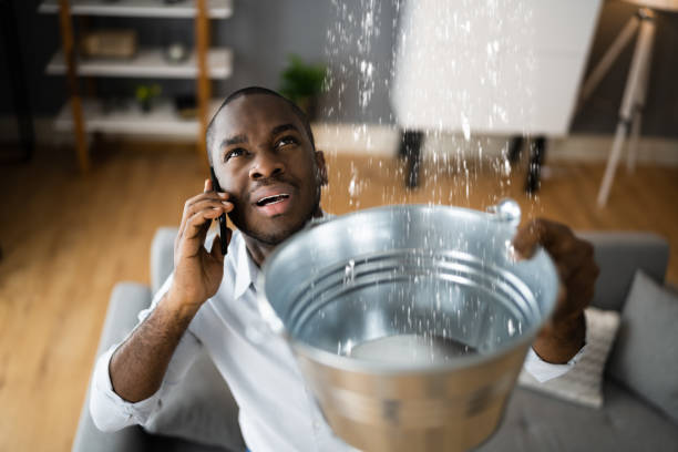 Best Water damage cleanup near me  in Henderson, NV