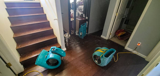 Best 24/7 water damage repair  in Henderson, NV