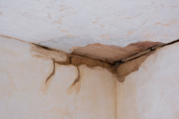 Best Ceiling water damage repair  in Henderson, NV