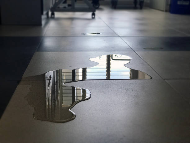 Best Local water damage restoration  in Henderson, NV